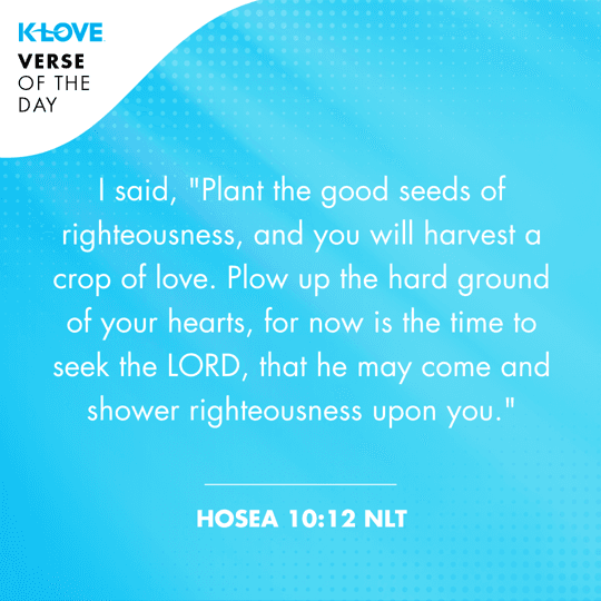 I said, "Plant the good seeds of righteousness, and you will harvest a crop of love. Plow up the hard ground of your hearts, for now is the time to seek the LORD, that he may come and shower righteousness upon you."